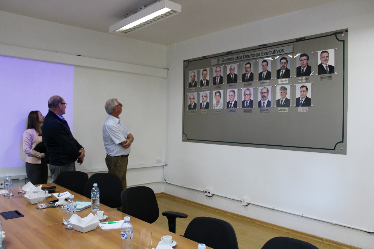 Imagem da notícia 5