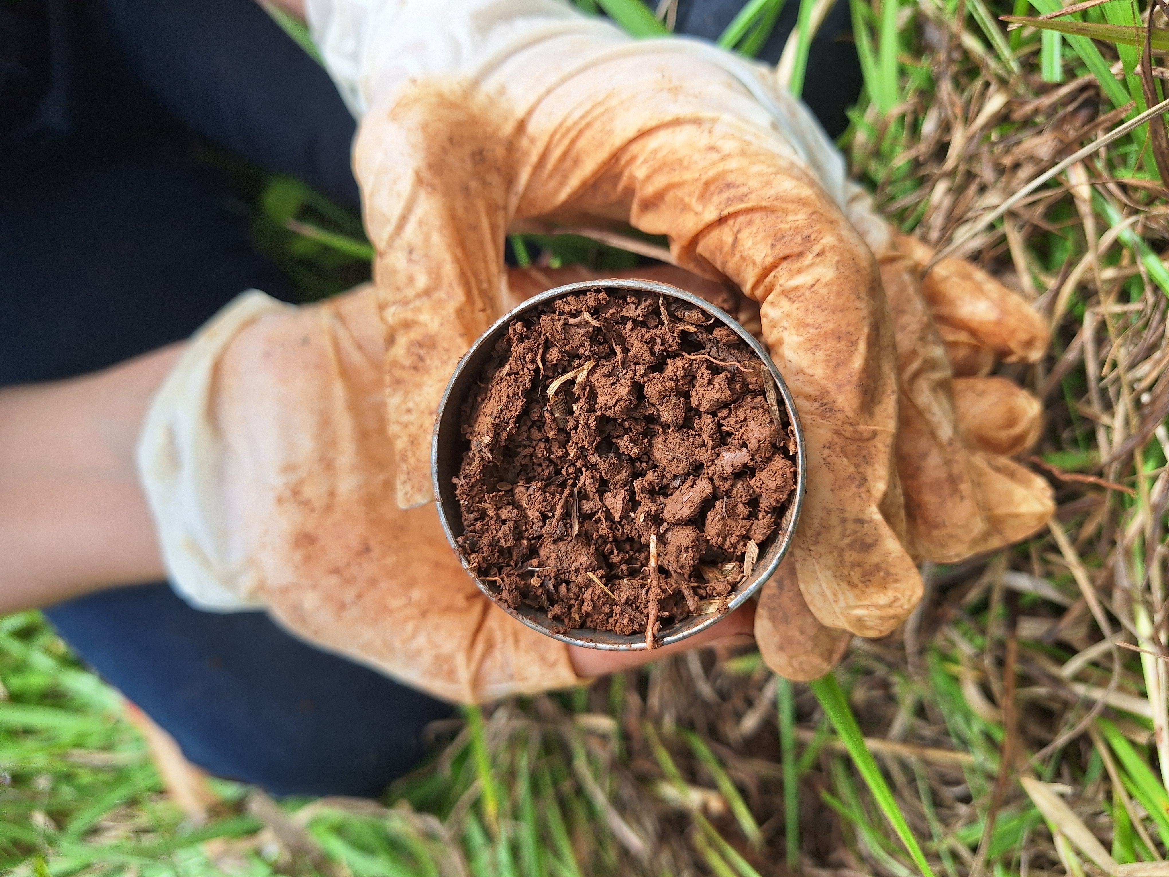 Imagem da notícia 1