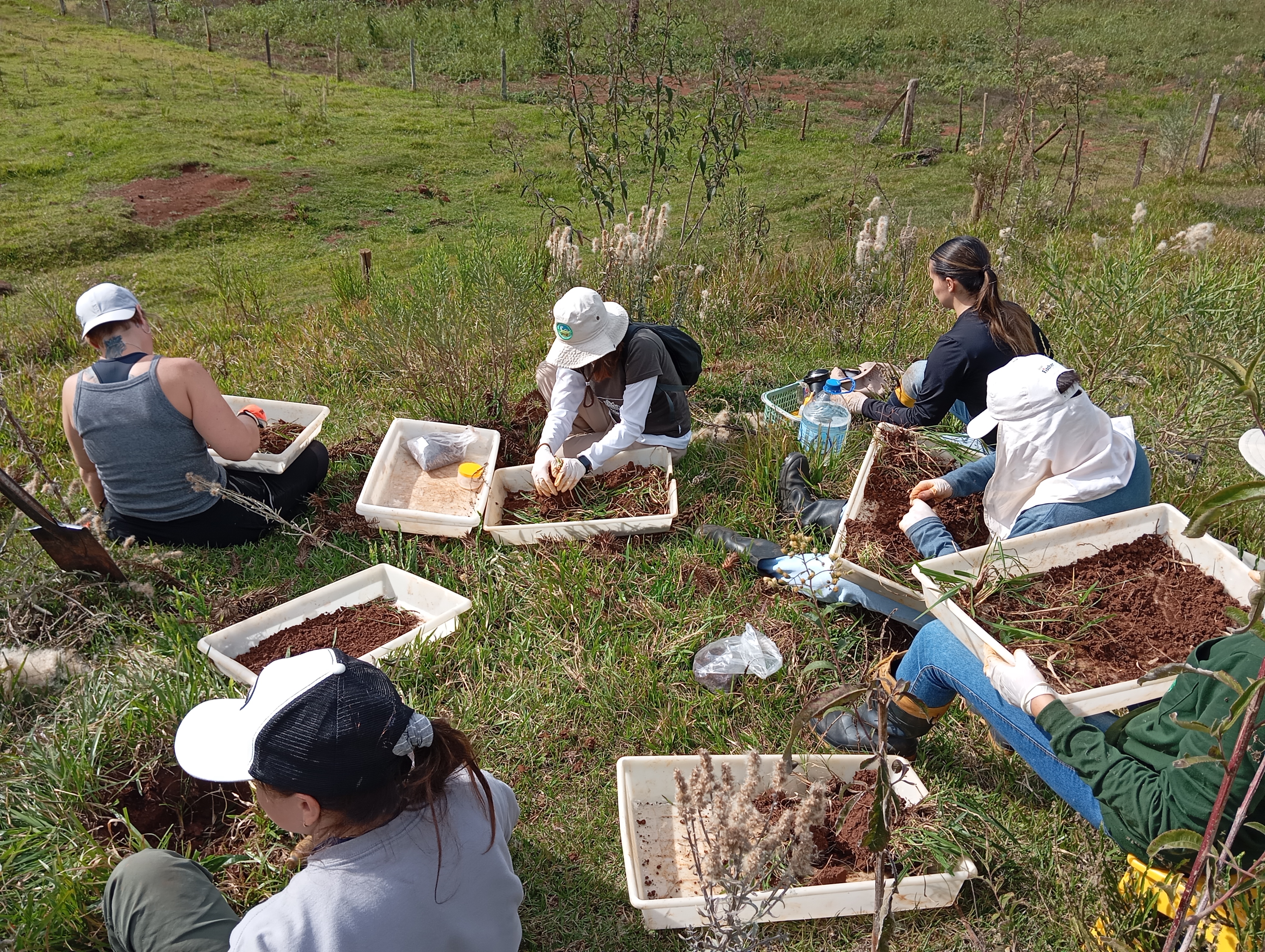 Imagem da notícia 3