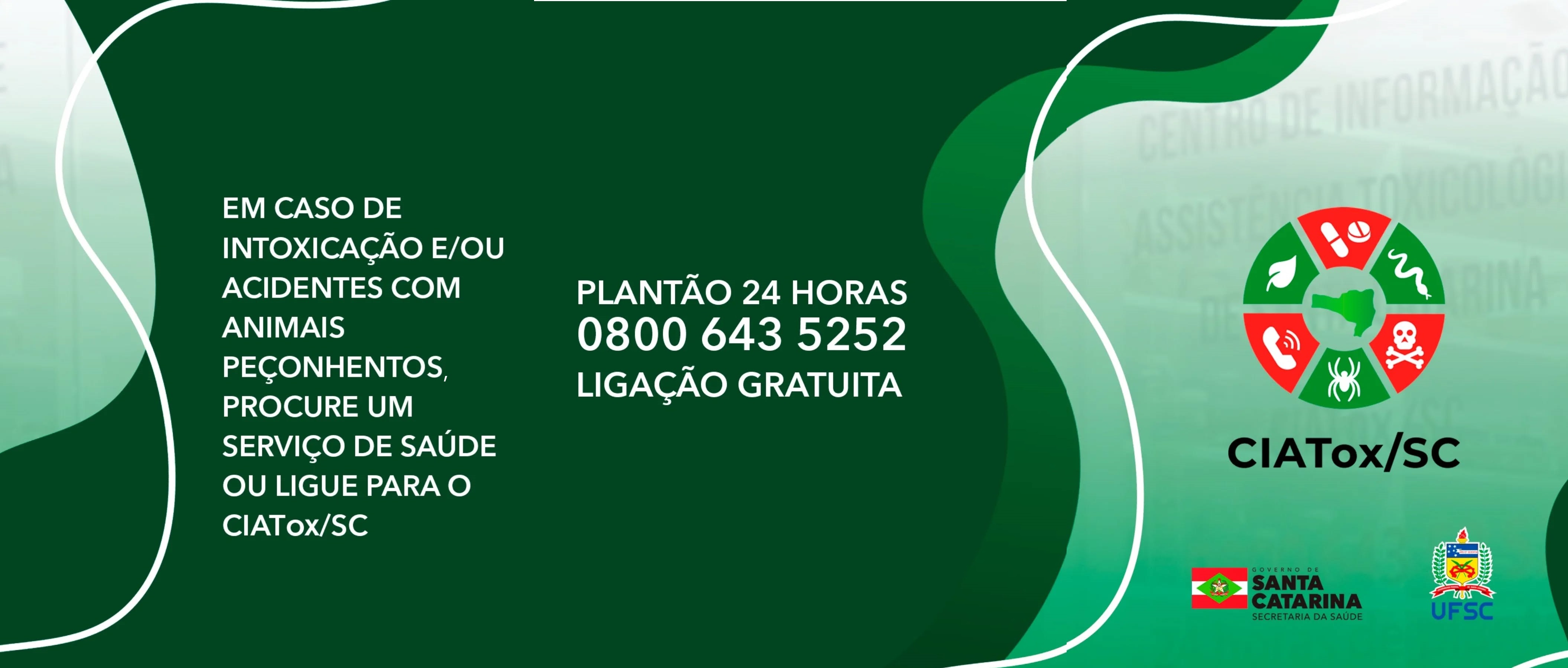 Imagem da notícia 1