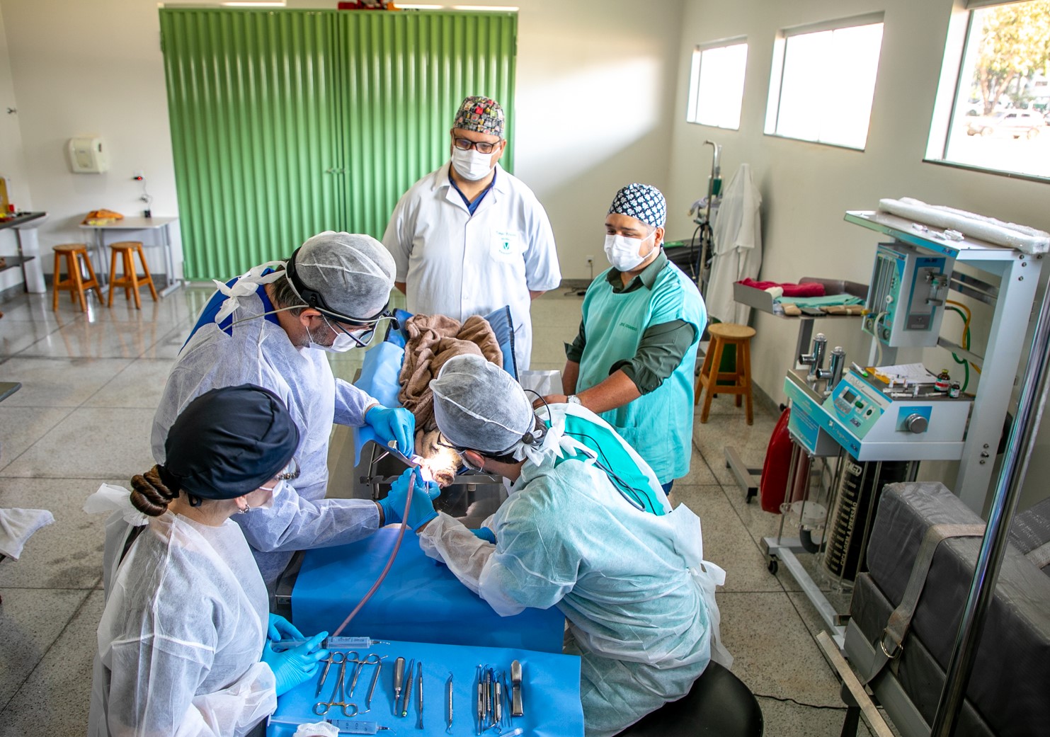 Imagem da notícia 1