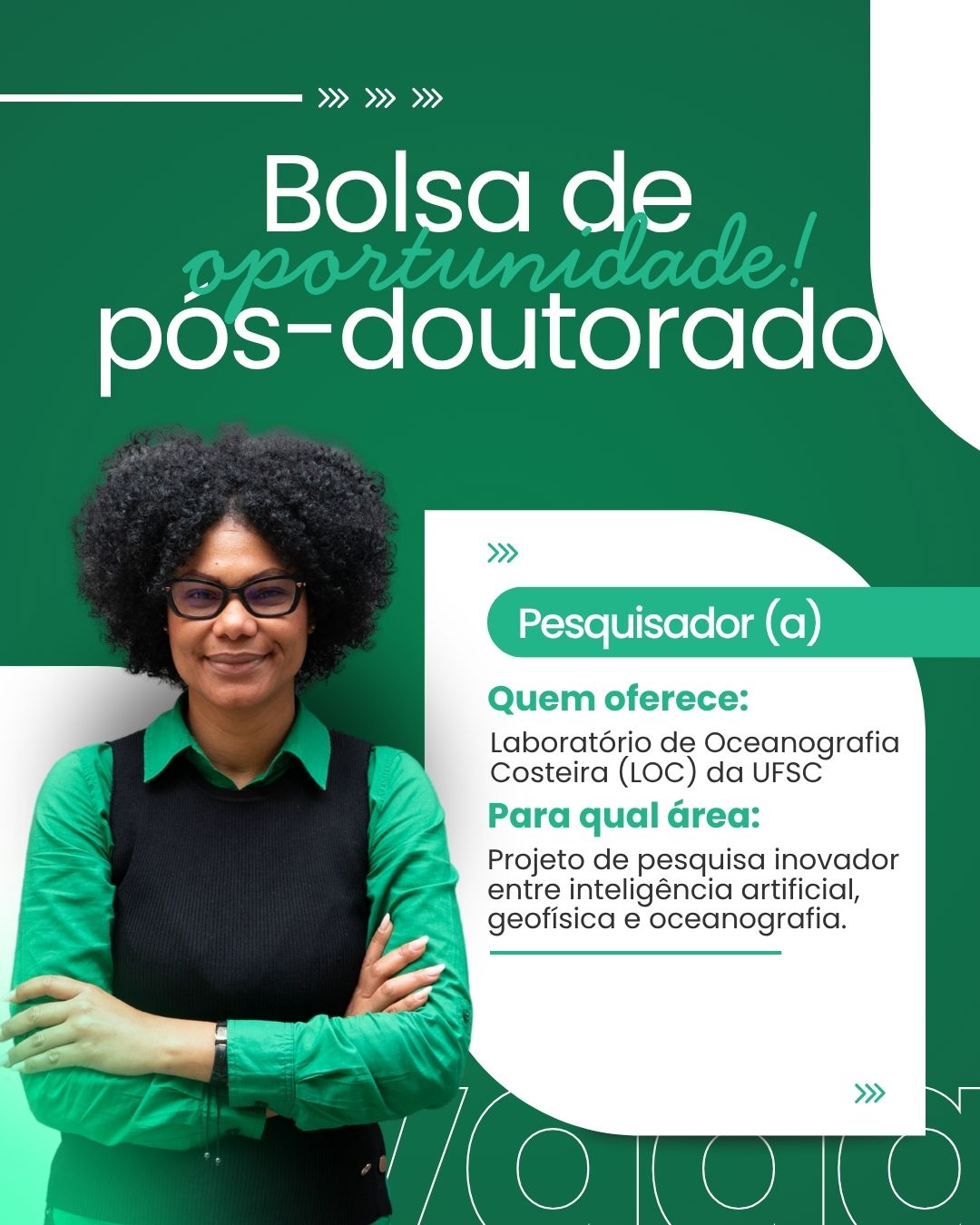 Imagem da notícia 1