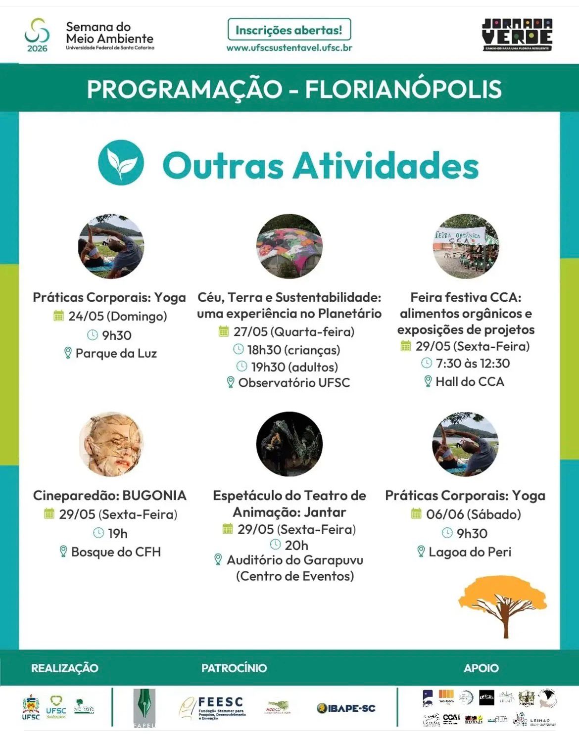 Imagem 5