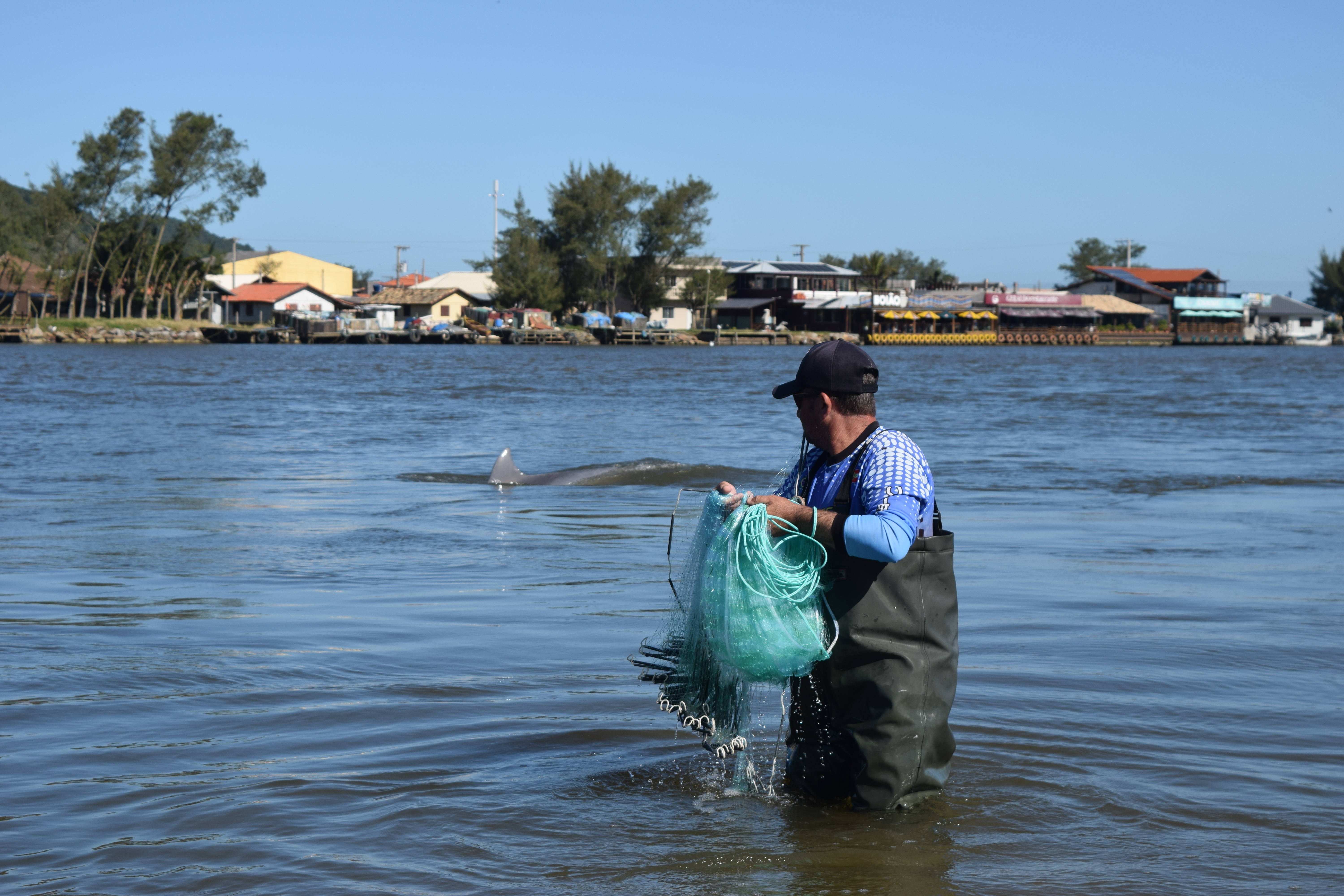 Imagem da notícia Justiça usa projeto apoiado pela Fapeu para tomar decisão ambiental
